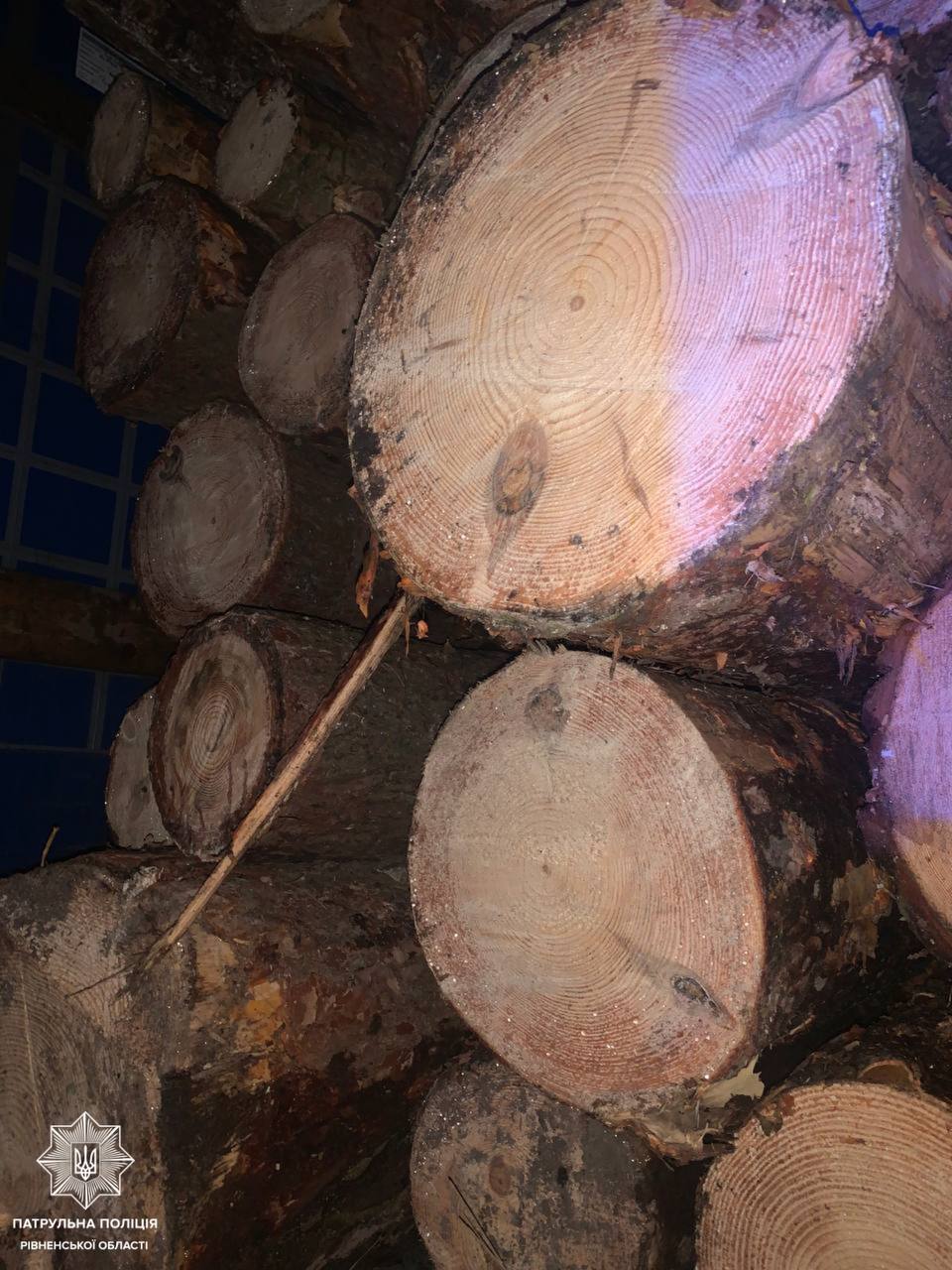 На Рівненщині патрульні виявили незаконні вирубки зелених насаджень 0000