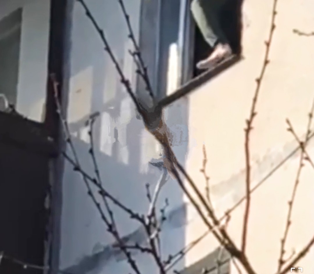 У Рівному патрульні запобігли самогубству (ВІДЕО) 0000