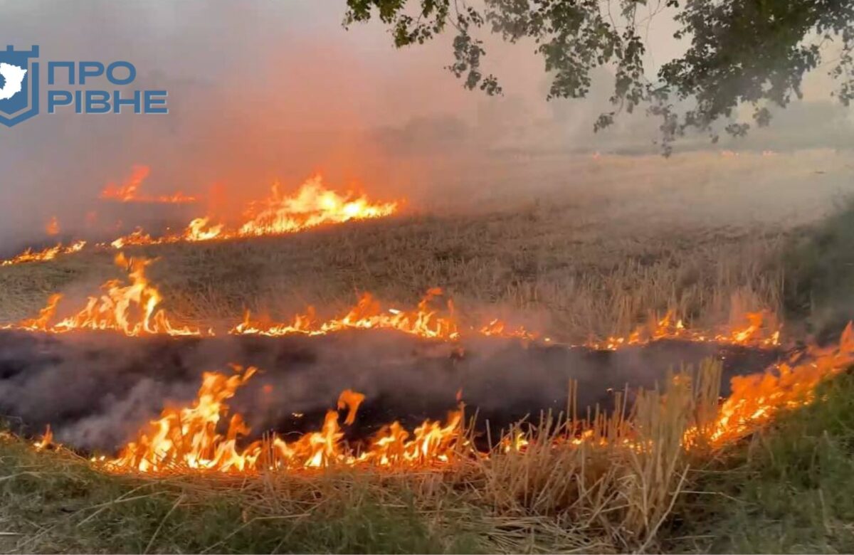 На Рівненщині готуються до сезону пожеж та нагадують про штрафи паліям