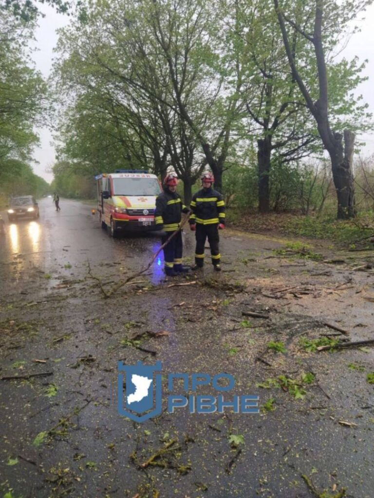1 У Рівному на дорогу впало дерево і заблокувало проїзд (ФОТО)
