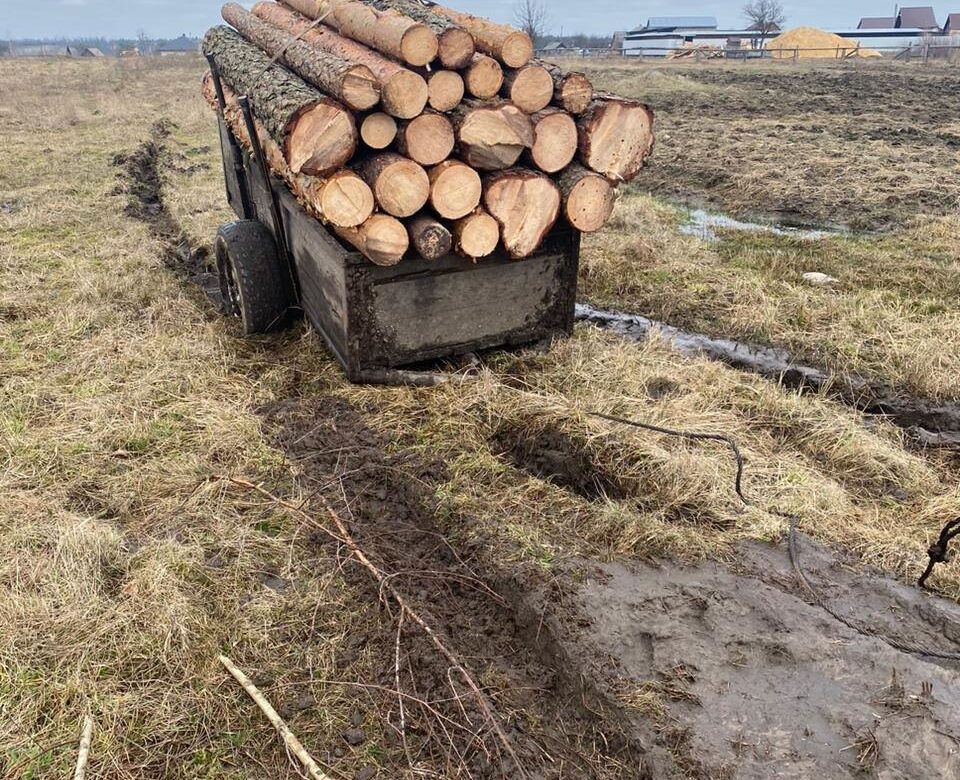 На Рівненщині ОЗГ крала ліс