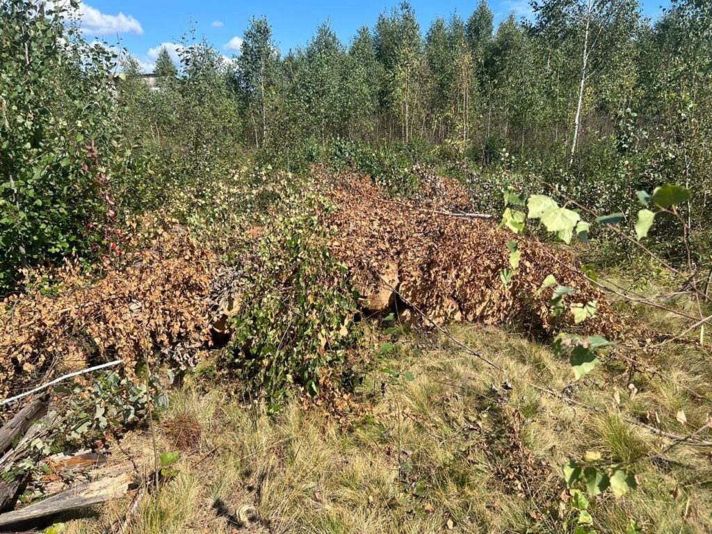 1 На Рівненщині ОЗГ крала ліс