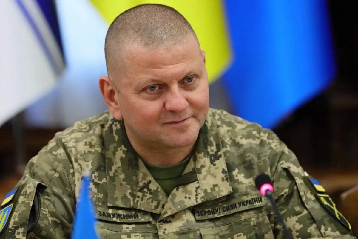 Валерій Залужний нагородив двох депутатів Рівнеоблради 0000