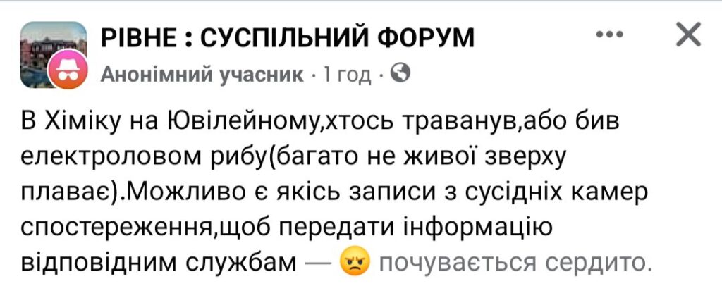 1 На озері в Рівному з невідомих причин загинула риба (ФОТО, ВІДЕО)