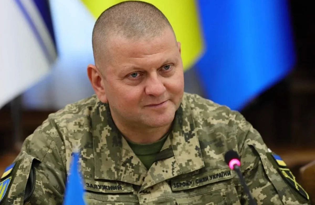 Валерій Залужний нагородив двох депутатів Рівнеоблради