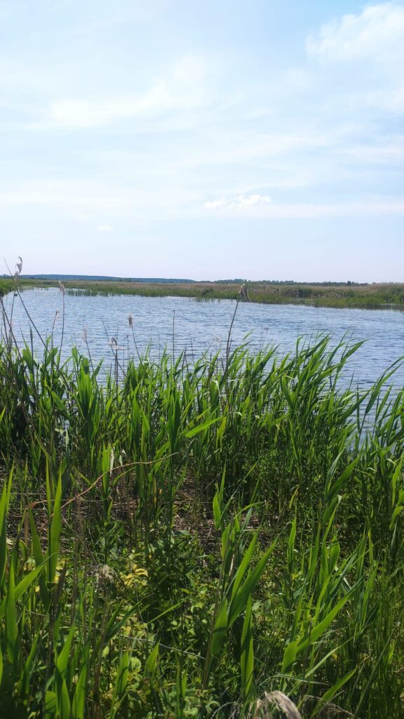 1 На Рівненщині в угіддях шукали браконьєрів