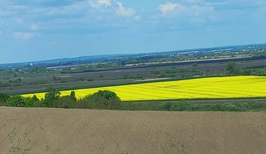 Аграрії Рівненщини завершують весняну посівну