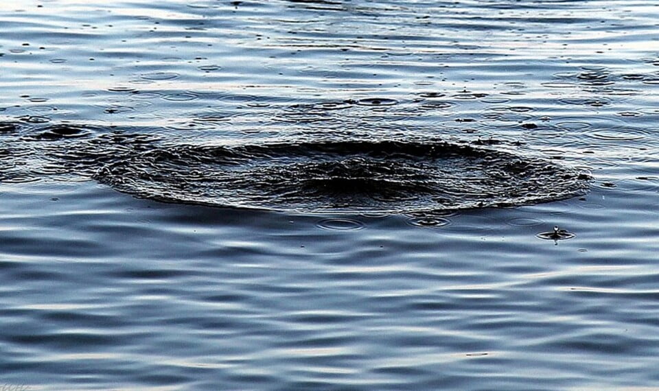 У водоймі на Рівненщині виявили тіло чоловіка 0000