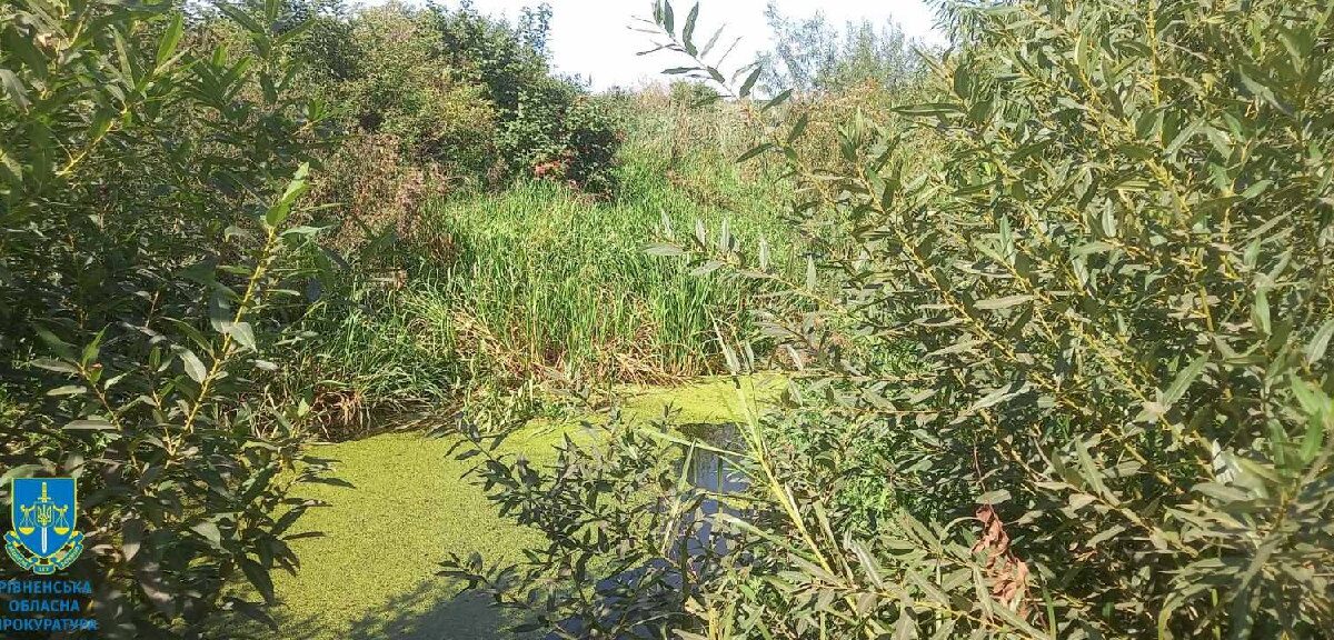 На Рівненщині в орендаря відібрали майже півсотні гектарів землі і ставків