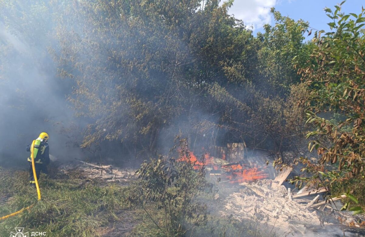Через підпали на Рівненщині горів лісовий масив