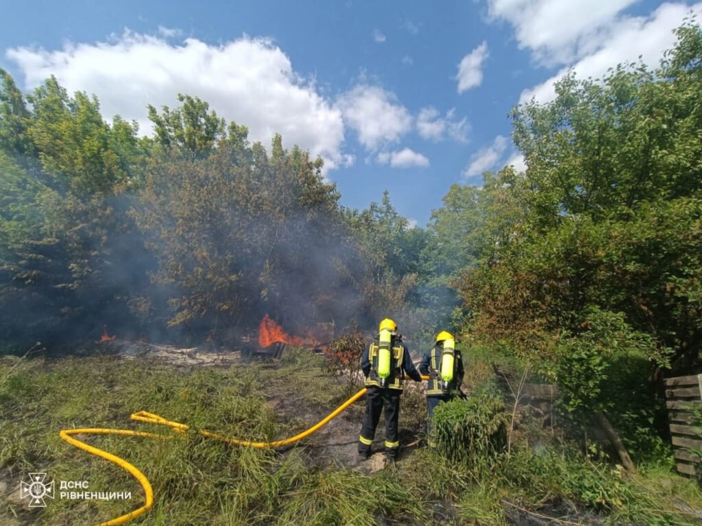 1 Через підпали на Рівненщині горів лісовий масив