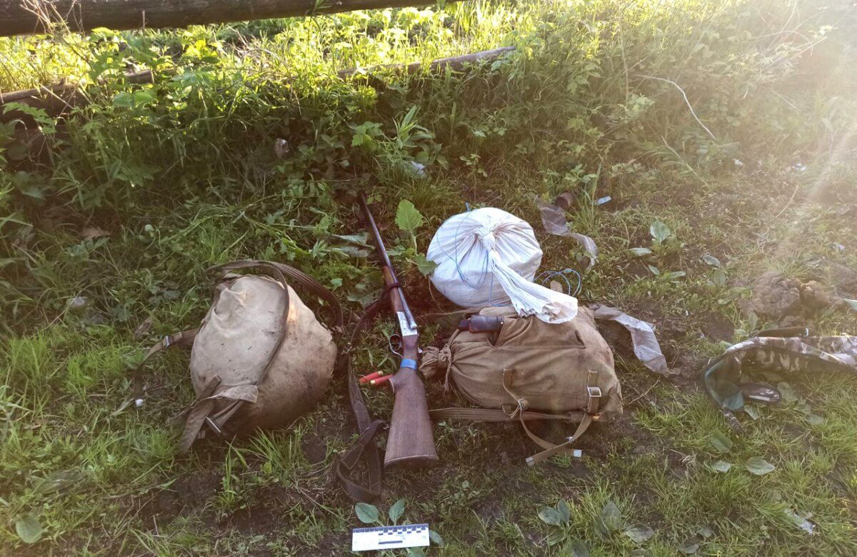 На Рівненщині браконьєри вбили червонокнижного лося