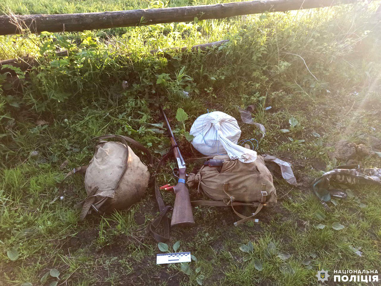 На Рівненщині браконьєри вбили червонокнижного лося 0000