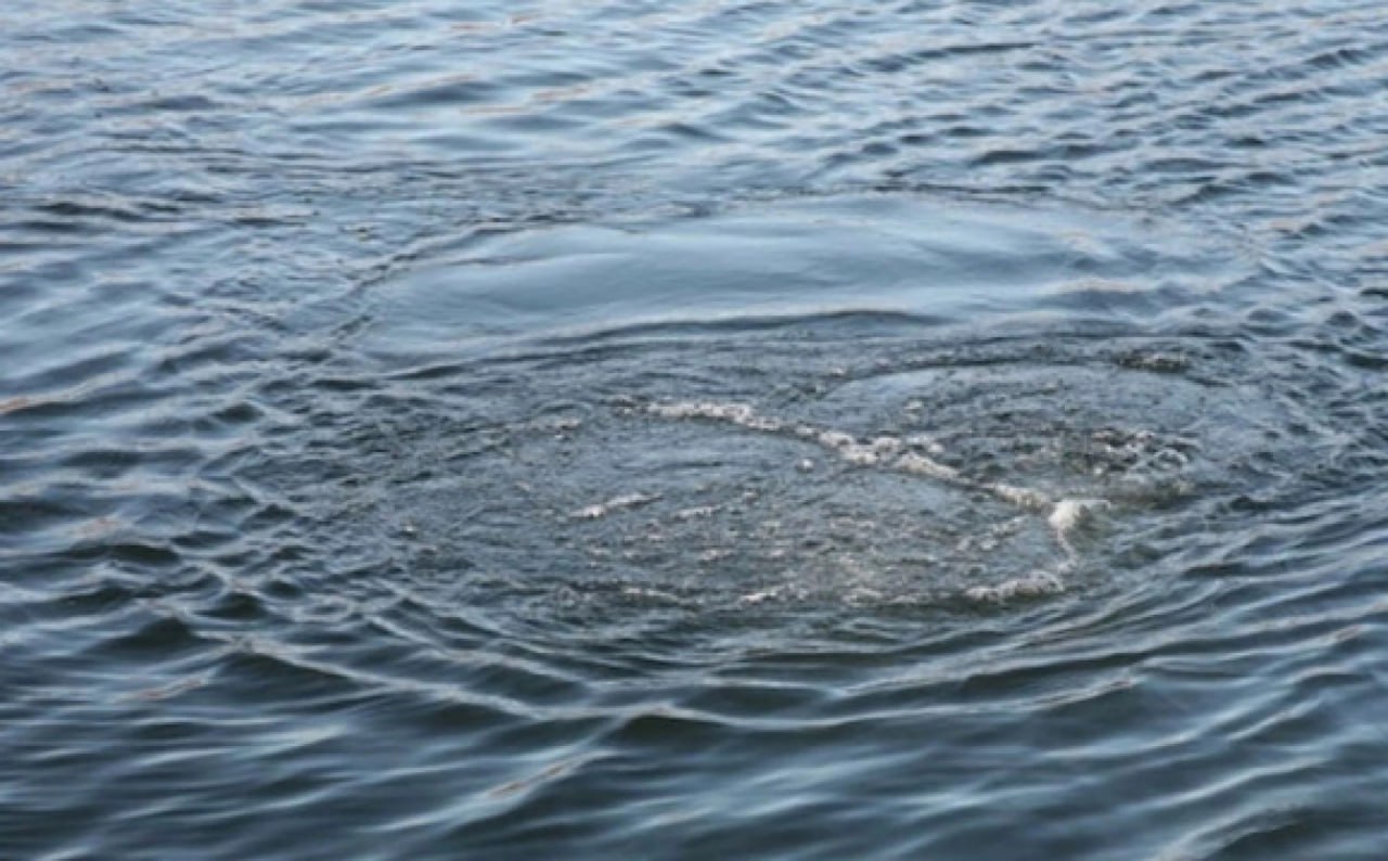 З початку року на водоймах Рівненщини загинуло вісім людей 0000