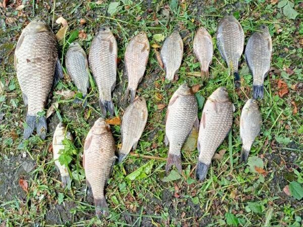 1 У Рівненському районі за вилов риби оштрафували рибалку