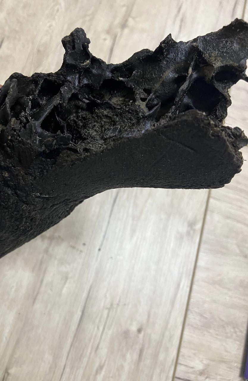 1 Рештки доісторичної тварини знайшли на території нацпарку на Рівненщині