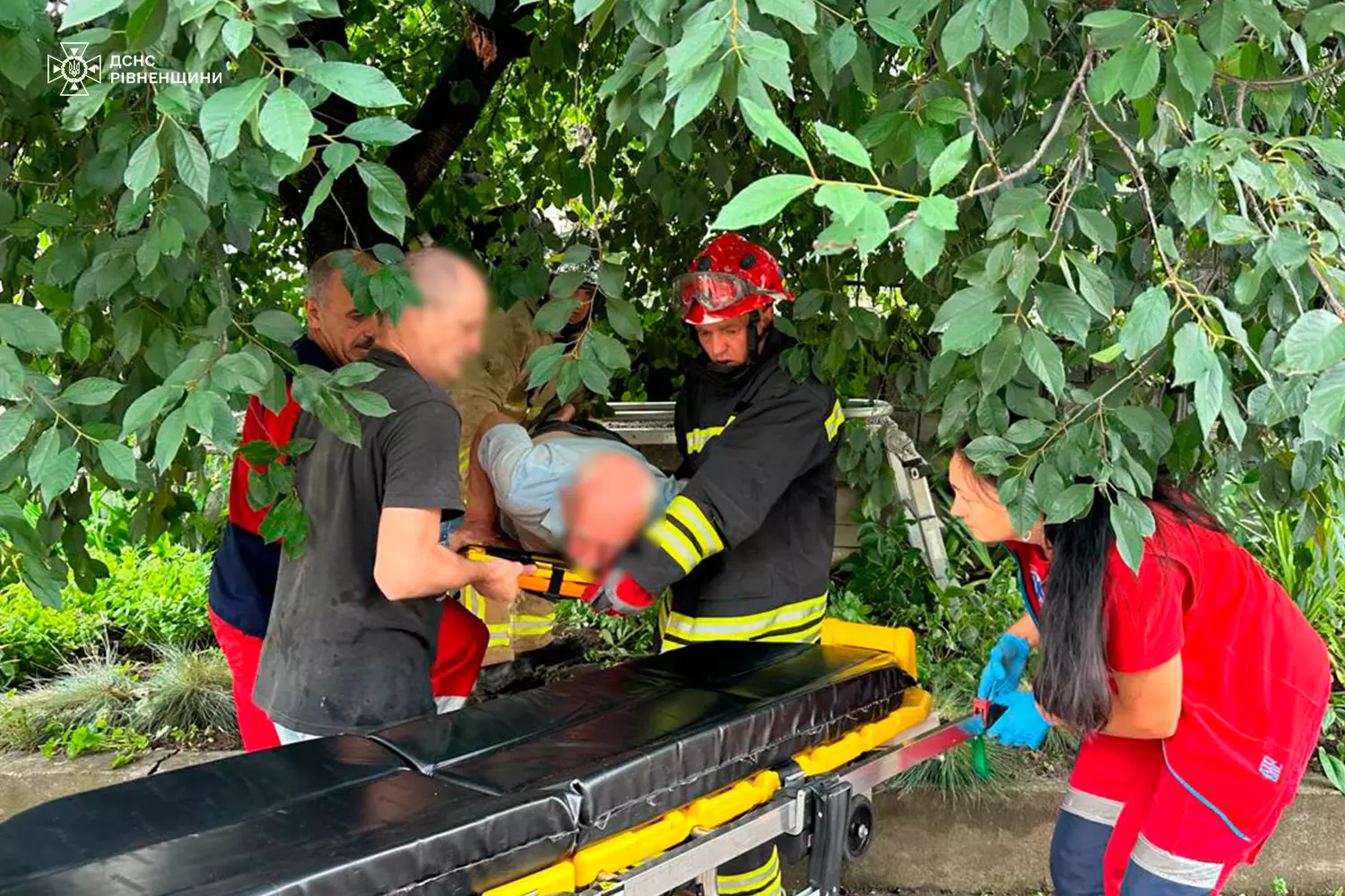У Рівному пенсіонер упав з дерева на металевий паркан 0000