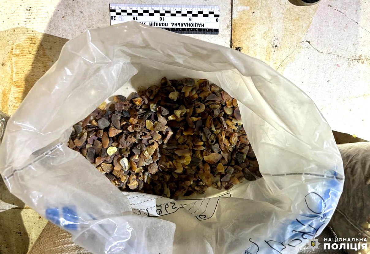 У Здолбунові викрили підприємство з незаконної переробки бурштину 0000