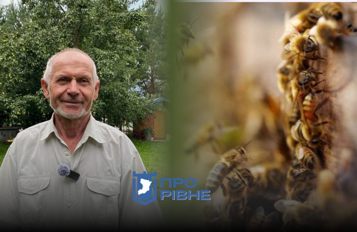 Так покусають, що аж жити хочеться: бджоляр з Рівненщини розповів про секрети пасічництва