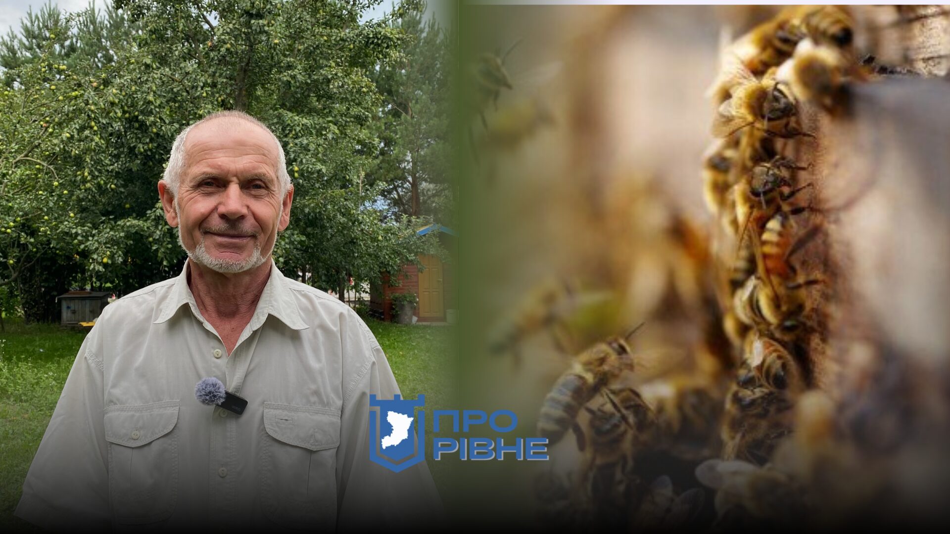 Так покусають, що аж жити хочеться: бджоляр з Рівненщини розповів про секрети пасічництва 0000