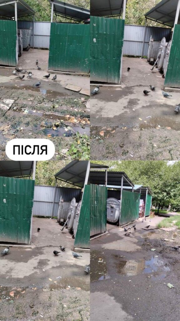 1 У Рівному мешканці поскаржилися, що тонуть у смітті, й отримали попередження про штраф