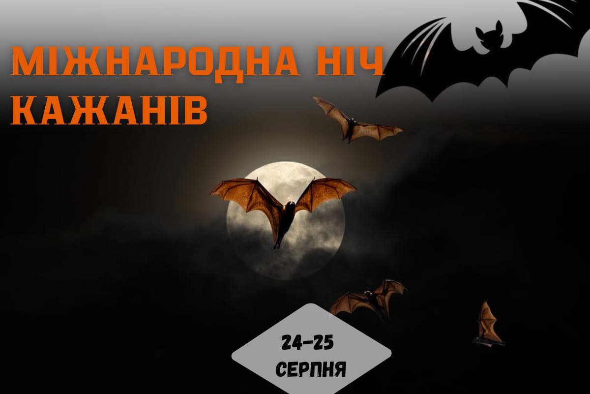 Природоохоронці Рівненщини відзначили Міжнародну ніч кажанів 0000