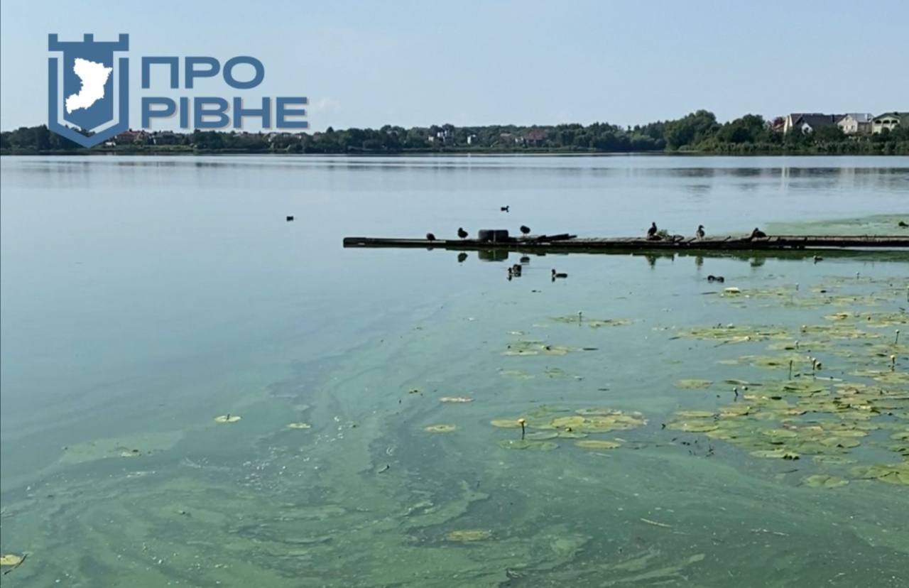 1 Відомо, що рівненські водолази знаходять на дні Басового Кута (ВІДЕО)