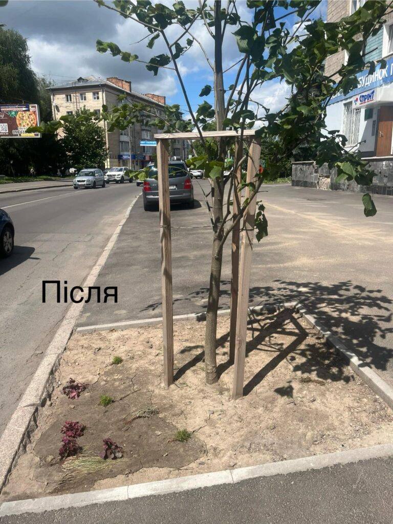1 Не встигли у Рівному посадити квіти, як їх украли