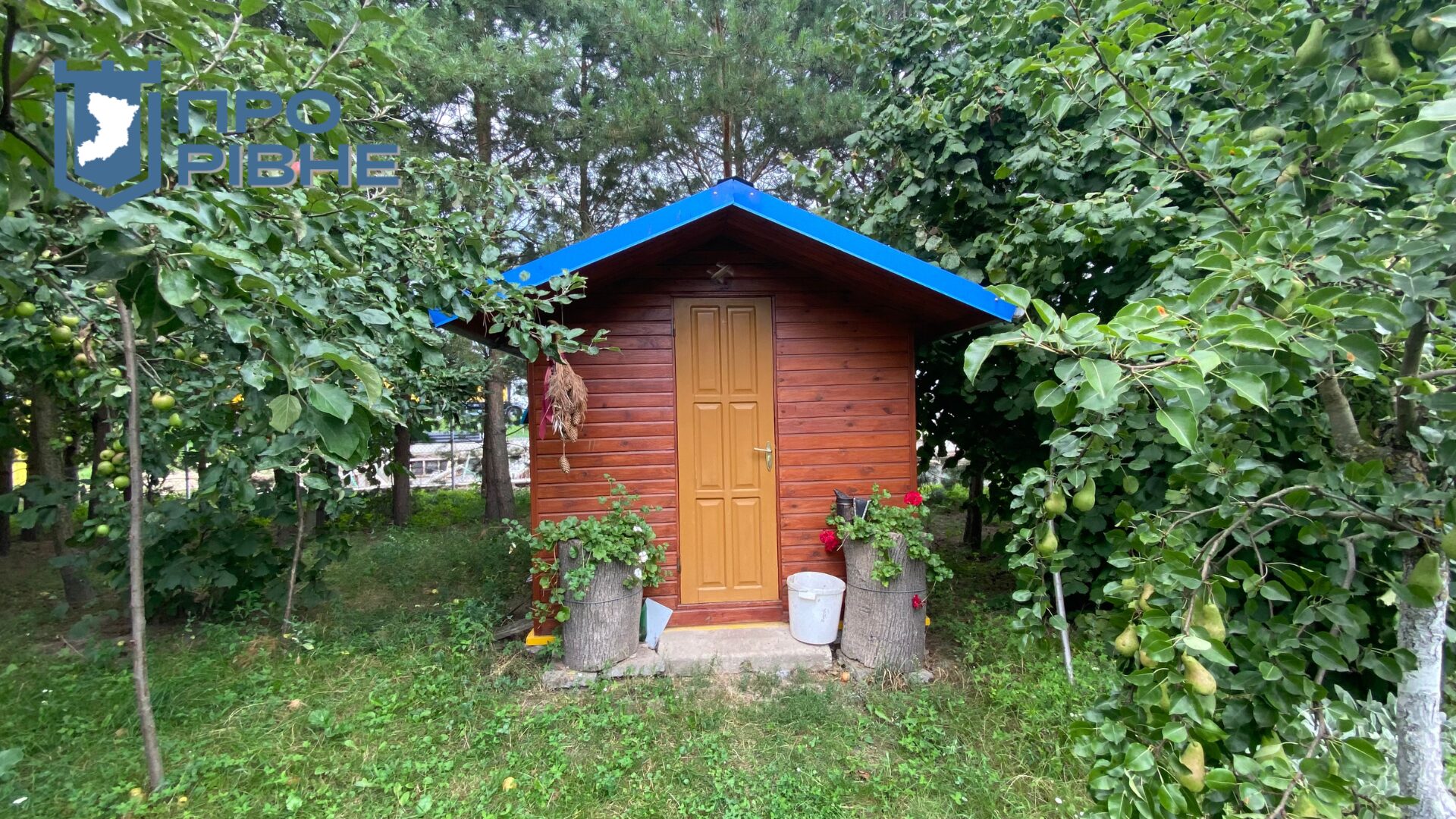 1 Так покусають, що аж жити хочеться: бджоляр з Рівненщини розповів про секрети пасічництва