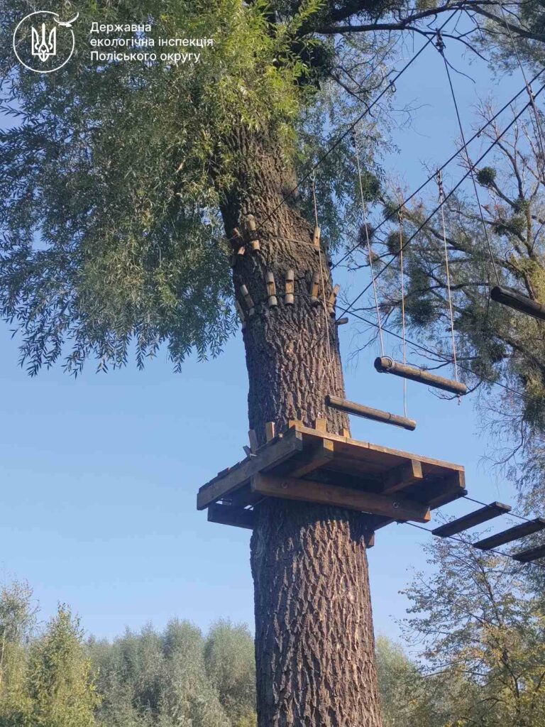 1 У мотузковому парку міста Дубно пошкодили дерева