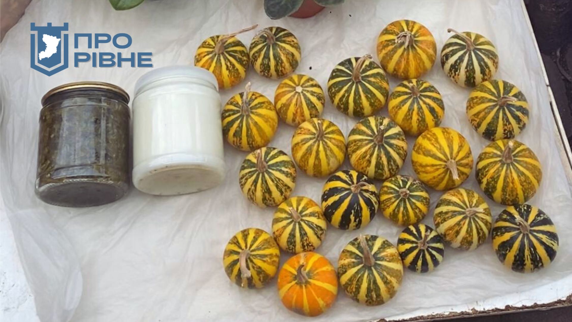 1 Сезон горіхів та гарбузів на ринку у Рівному: ціни (ВІДЕО)