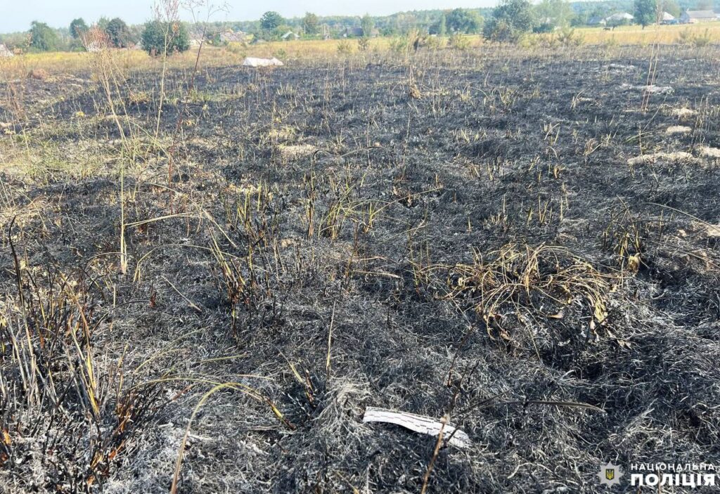 1 Жителька Рівненщини згоріла під час спалювання зілля на городі (ФОТО)