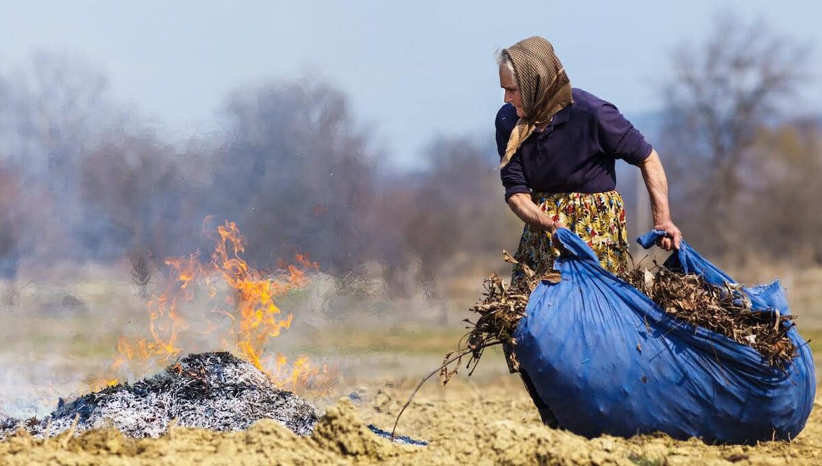 Жителів Рівненщині закликають не палити, а компостувати залишки зібраного врожаю картоплі