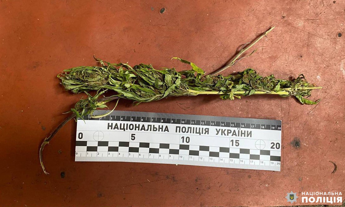 Житель Рівненщини на очах власних дітей побив свою матір 0000