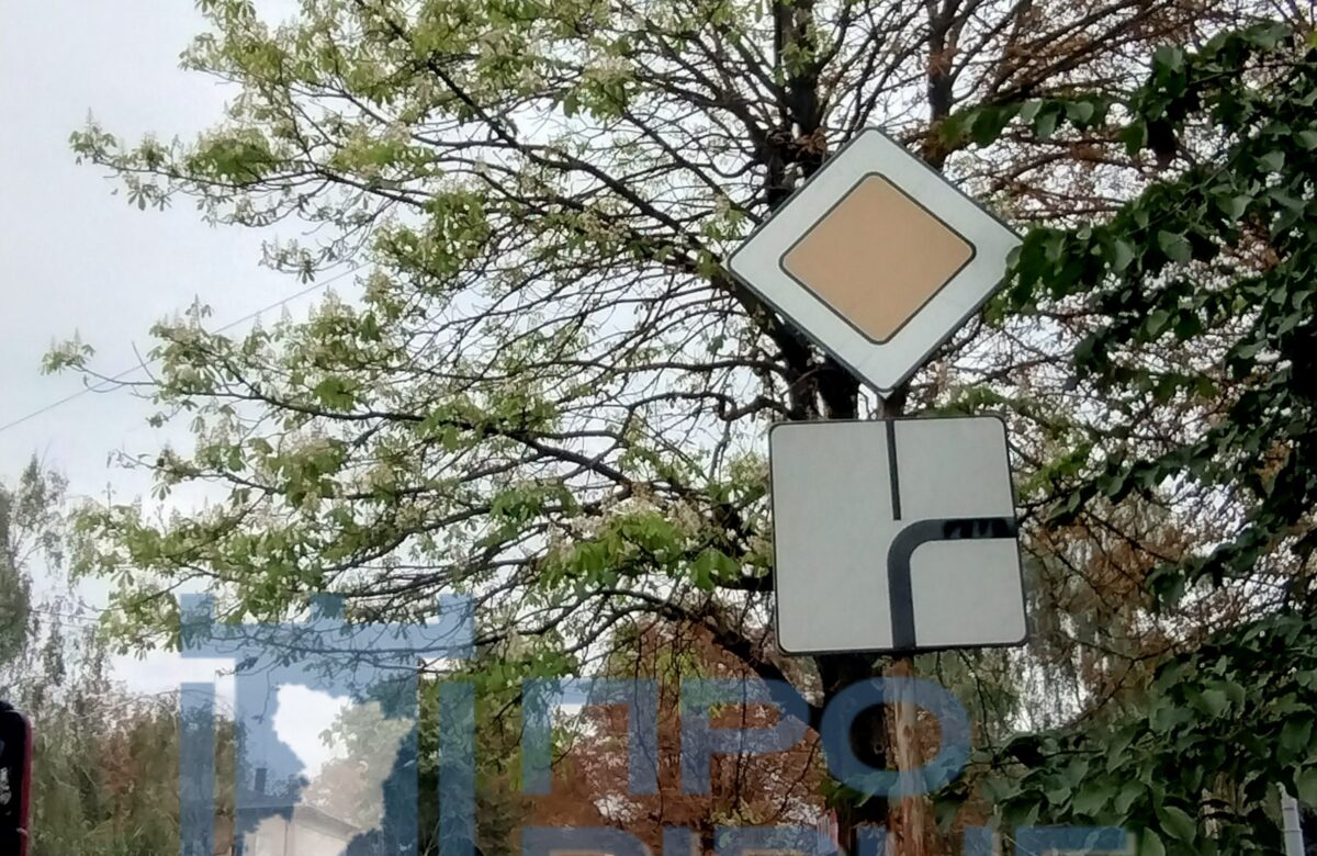 У Рівному посеред вересня зацвіли каштани (ФОТО, ВІДЕО)