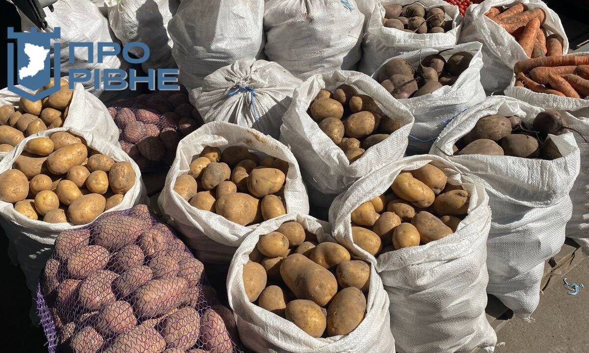 Сезон картоплі на ринках Рівного: звідки везуть та які ціни (ВІДЕО)
