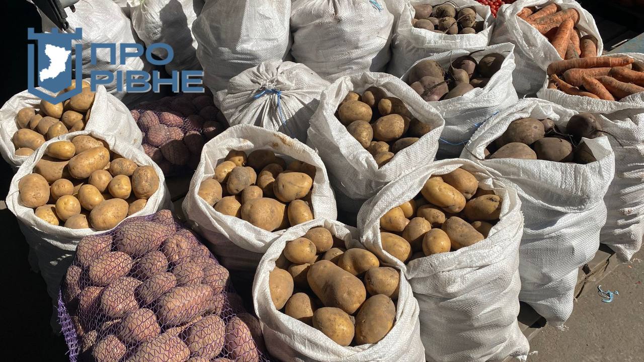 Сезон картоплі на ринках Рівного: звідки везуть та які ціни (ВІДЕО) 0000