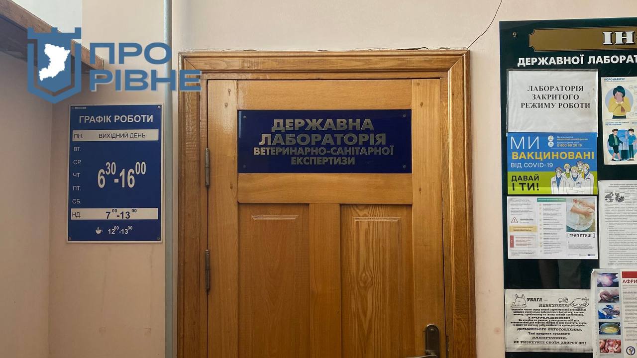 1 Сезон картоплі на ринках Рівного: звідки везуть та які ціни (ВІДЕО)