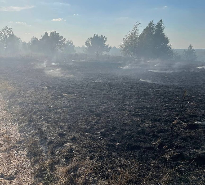 1 Масштабне загорання трави на Сарненщині загрожувало приватним садибам