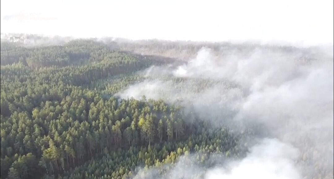 Апокаліптичні кадри з Рівненського Полісся, де четверту добу триває масштабна пожежа (ВІДЕО) 0000