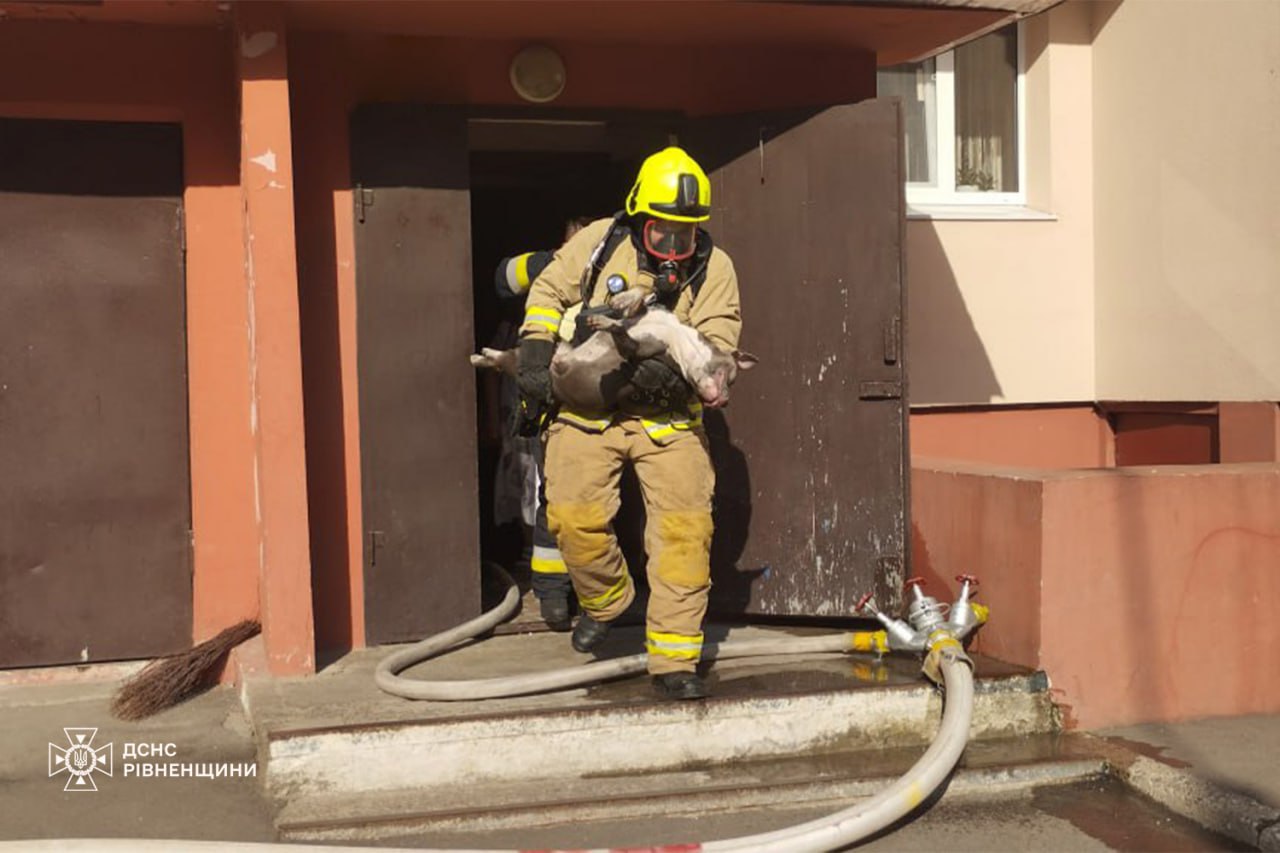 Рятувальники Рівненщини врятували собаку під час ліквідації пожежі 0000