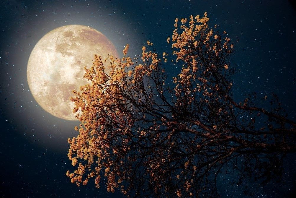 «Мисливський місяць»: що робити у найсильнішу Повню 2024го 0000