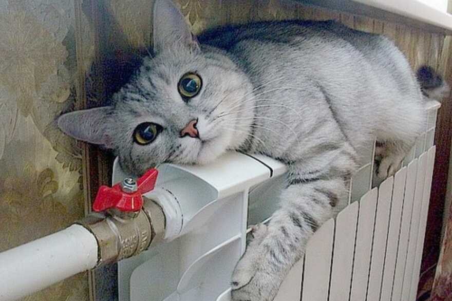 Коли в оселях рівнян з’явиться тепло