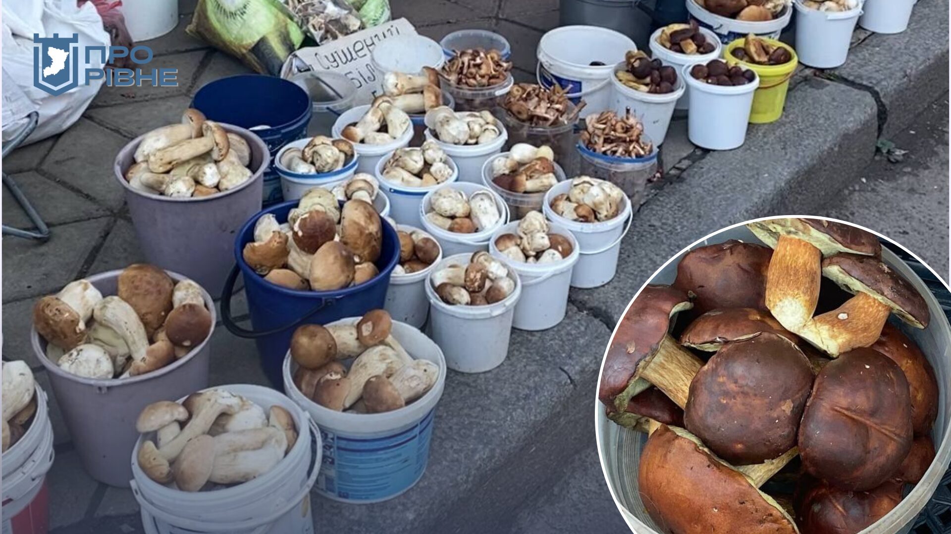 Грибний бум на ринку Рівного: де збирають та які ціни 0000