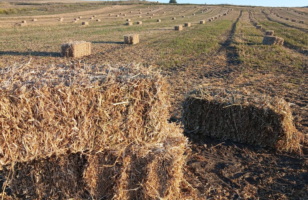 Заклади однієї з громад Рівненщини планують опалювати соломою