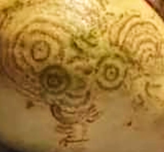 1 Загадкові послання на грушах: подружжя пенсіонерів знаходить у садку дивні письмена (ФОТО)