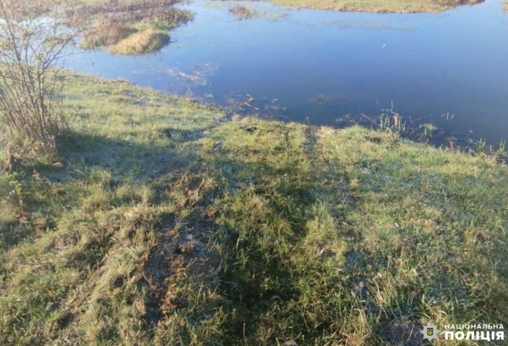 1 На Рівненщині в автівці що злетіла у річку загинув чоловік: водію вибратися вдалося