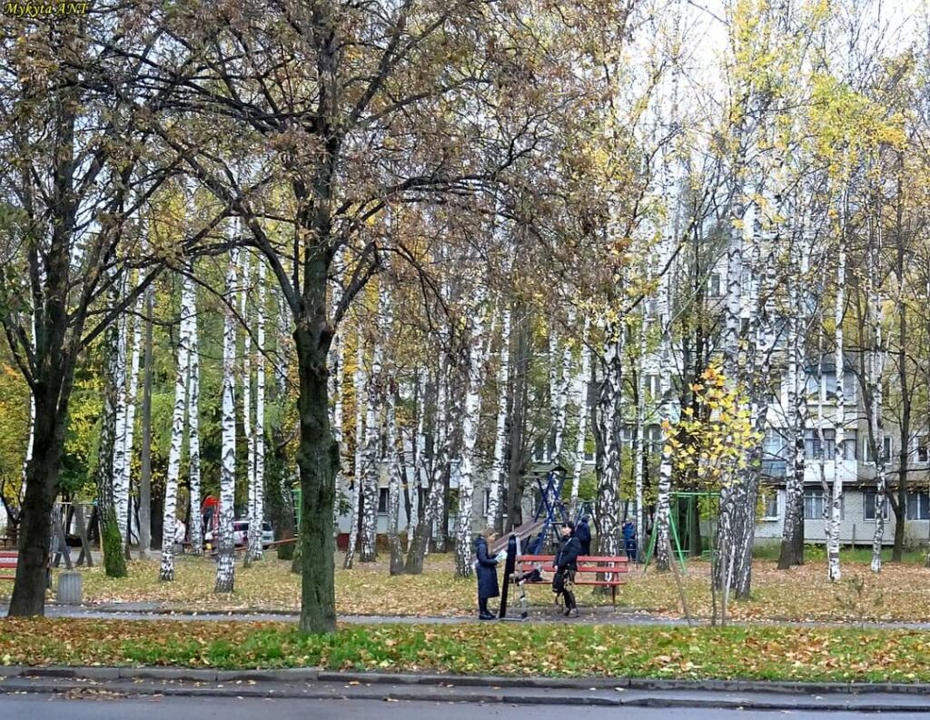 1 На мапі Рівного з'явився “Мокрий”