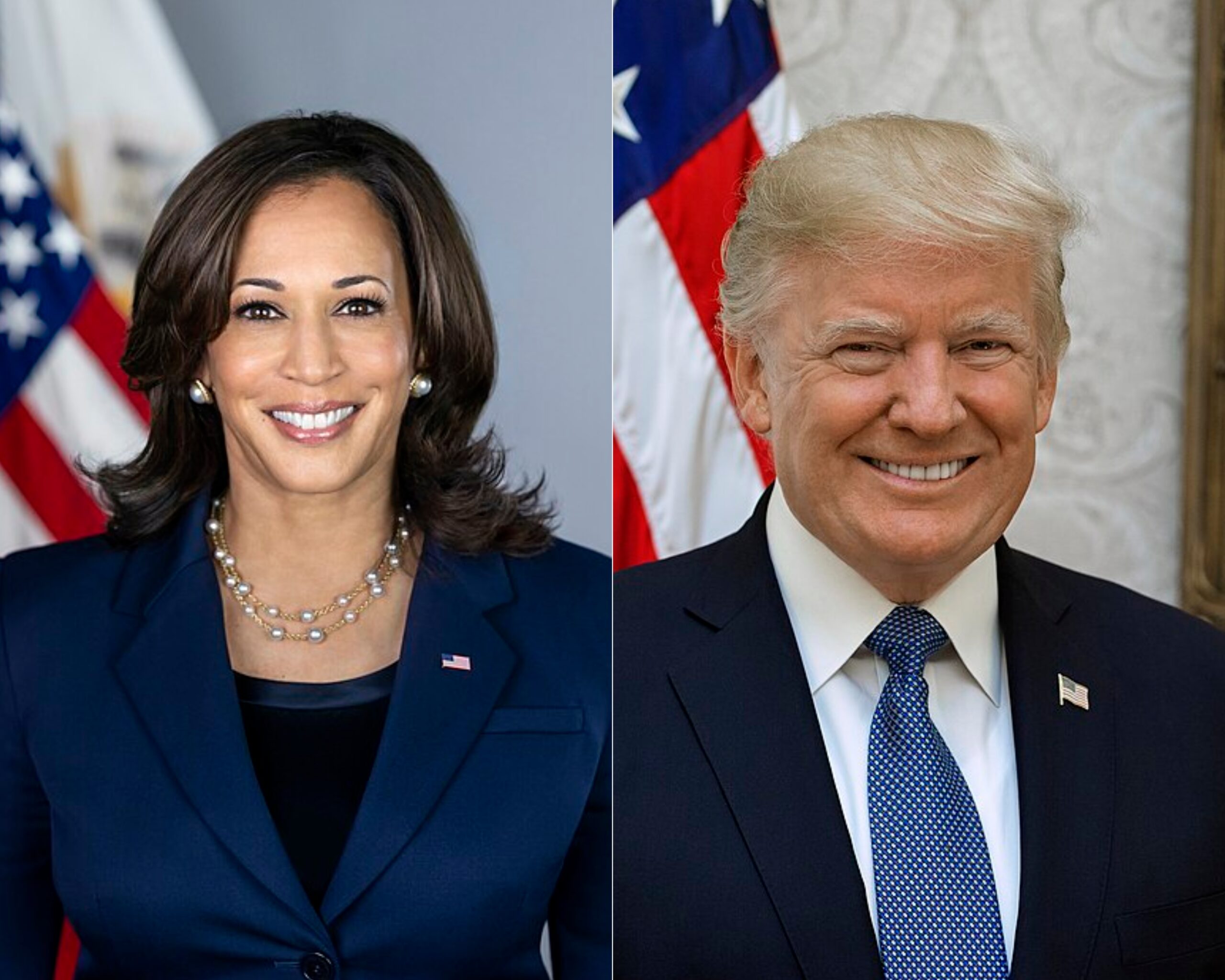 Хто перемагає на президентських виборах у США 0000