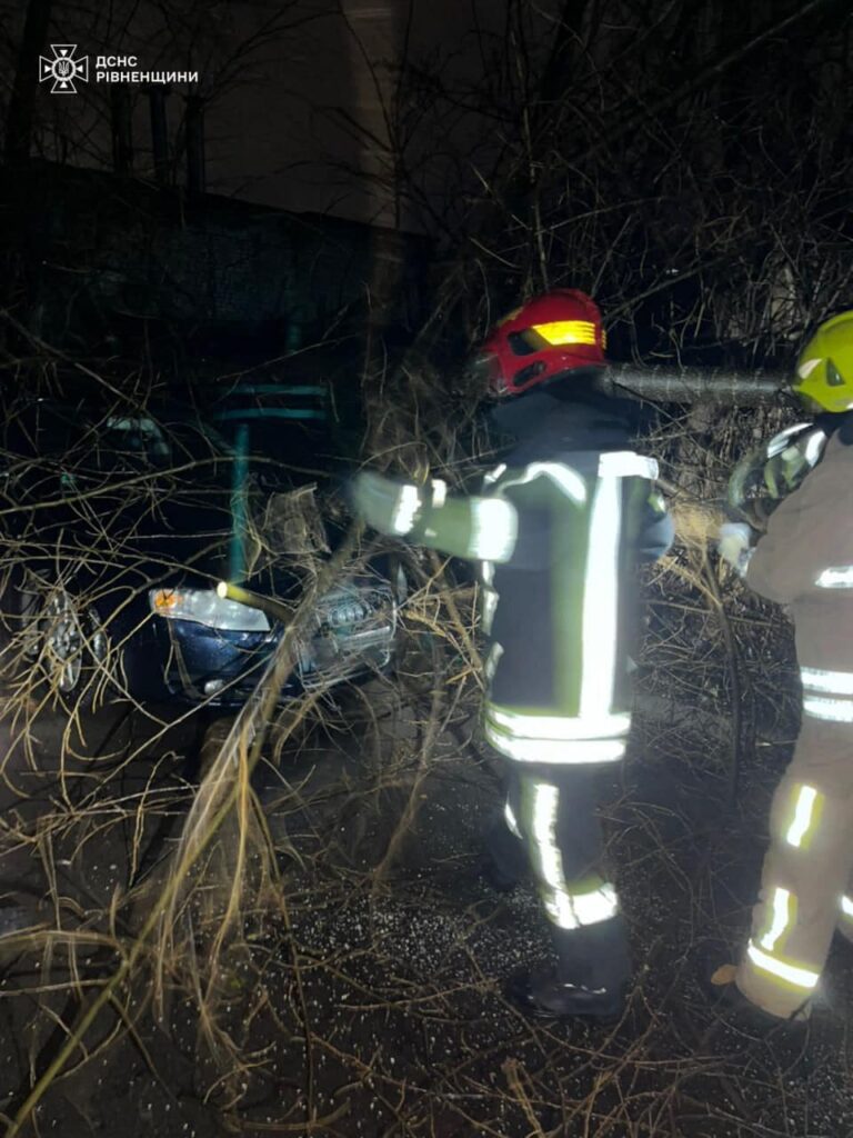 1 У Рівному дерево впало на автомобіль: деталі